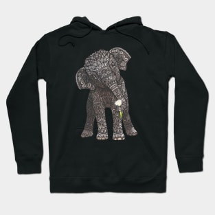 Baby Elephant Hoodie